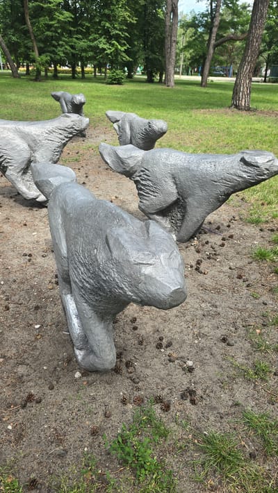 The image shows a park scene in Konstancin-Jeziorna, Poland. The main subjects are a series of grey, abstract sculptures that appear to represent animals, possibly seals or sea lions, in various poses. These sculptures are situated on the ground in a park setting. The ground is a mixture of soil, scattered pine cones, and patches of grass and weeds. In the background, there are several tall trees with green foliage, and a well-maintained lawn area. Further in the distance, there are glimpses of what might be playground equipment, suggesting this is a recreational area. The overall impression is one of a peaceful, outdoor environment. The lighting suggests it is daytime, likely a sunny day given the brightness of the scene. No people are clearly visible in the foreground or mid-ground, though there might be distant figures in the background lawn. There is no visible text in the image.