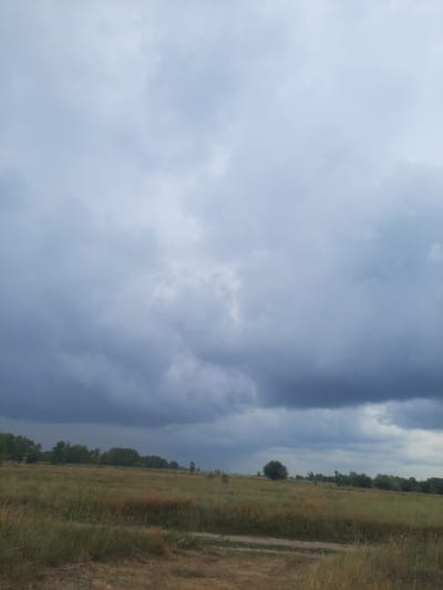 The image depicts an overcast sky over a field with a line of trees in the distance. The sky is filled with heavy, gray clouds, suggesting impending rain or a storm. The field is covered in dry, yellowish-brown grass, with some patches of green interspersed. A dirt path or track runs through the field. A few scattered trees are visible both within the field and along the tree line. The overall impression is of a rural landscape under a brooding sky. There are no people or animals visible in the image, nor any specific landmarks that would indicate the exact location within the city of Крестьянка, Russia.