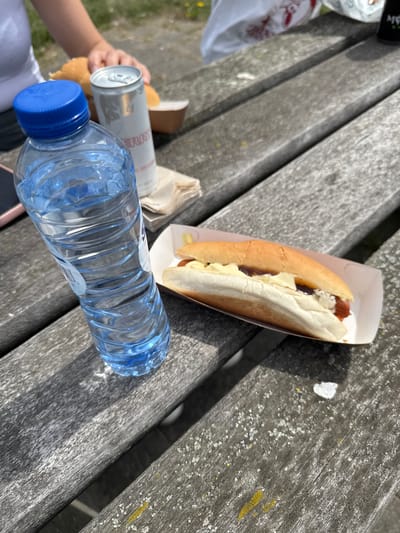 A close-up, outdoor, eye-level shot captures a portion of a picnic table in Leiderdorp, Netherlands. The wooden table is weathered and gray, with visible grain and scattered white and yellow markings.
In the foreground, a clear plastic water bottle with a blue cap is prominently positioned, its ribbed surface reflecting the sunlight. To the right of the bottle, a hot dog sits in a white cardboard tray. The hot dog is nestled in a bun, topped with what appears to be mustard and possibly relish or a similar sauce.
Behind the water bottle, a silver can with a white label is partially visible. Further in the background, a person's arm, clad in a white shirt, is resting on the table, suggesting human presence. The background is softly blurred, showing hints of greenery. The overall impression is of a casual outdoor meal.