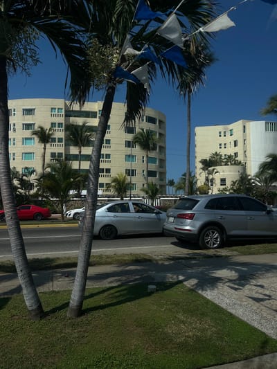 The scene depicts a street in Acapulco de Juárez, Mexico, lined with palm trees decorated with blue and white flags. The trees obscure a view of tall, beige apartment buildings. Parked along the curb are several cars, including a silver SUV, a silver sedan, a white car, and a red car. The sidewalk is adjacent to a green grassy area. The sky above is clear and blue.