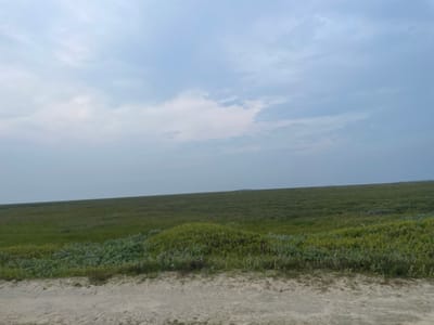 An open, grassy field stretches towards the horizon under a cloudy sky. The foreground features a dirt path with sparse vegetation. The middle ground is dominated by green grass, with patches of lighter green and some darker, taller plants forming a slightly raised mound. The background shows a vast, flat expanse of grass meeting a hazy horizon. The sky is overcast with soft, greyish-blue clouds. The scene is devoid of people and structures, suggesting a natural, undeveloped area. The overall impression is one of a wide, natural landscape with a muted color palette.