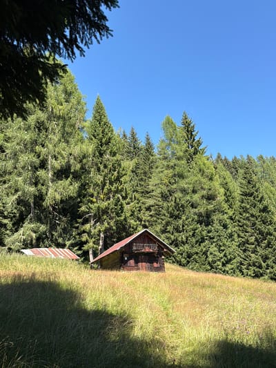 In the city of Lateis / Latais, Italy, this image depicts a picturesque mountain meadow filled with tall, dry grass and wildflowers under a clear blue sky. A rustic wooden cabin with a reddish-brown roof is situated in the center of the meadow, its facade showing signs of age and weathering. To the left of the cabin, another structure with a corrugated, rusty roof is partially visible. Behind the meadow, a dense forest of coniferous trees rises up, forming a verdant backdrop against the sky. The lighting suggests a sunny day, with shadows cast across the meadow, indicating the time is likely midday or early afternoon. No people are present in the scene.