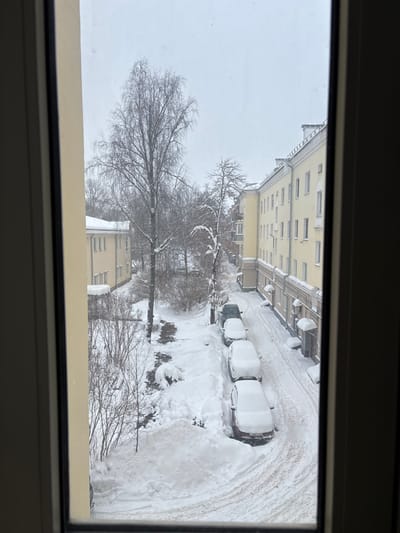 The image depicts a snow-covered urban scene in Velikiye Luki, Russia, viewed through a window. The environment is uniformly white due to heavy snow accumulation, indicating winter conditions with ongoing light snowfall under an overcast sky.
A street runs vertically along the right side of the frame, blanketed in snow with discernible tire tracks. Four parked passenger cars are visible on the right side of this street, each heavily covered in snow. From foreground to background, these include a dark reddish-brown sedan, a white sedan, a dark-colored sedan, and another dark sedan.
To the right of the street, a multi-story, light-yellow residential building extends horizontally, featuring multiple windows, balconies, a decorative cornice, and snow accumulation on its roof and architectural elements. To the left of the scene, a two-story light-yellow building is partially visible.
The intervening ground between the buildings and the street is covered in deep snow, with visible pedestrian paths and significant piles of cleared snow, particularly in the lower left. Numerous bare deciduous trees, including a prominent tall, slender tree in the center-left, and various bare bushes are present, all with snow on their branches. No individuals are visible. The scene is framed by a light-colored window frame on the left and right, with minor smudges on the window pane.