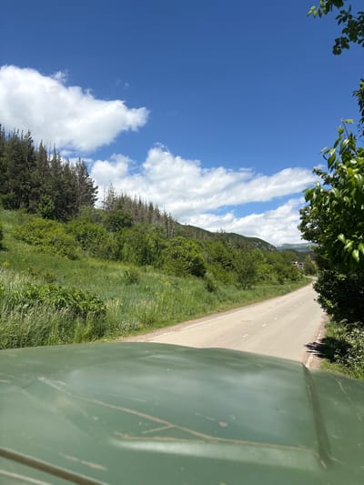 The image depicts a scenic view of a road winding through a lush green landscape under a bright blue sky dotted with fluffy white clouds. The foreground is dominated by the hood of a green vehicle, showing some wear and tear. The road itself is paved and appears to be a two-lane road. To the left of the road, a grassy slope rises, covered in tall grass and various green bushes and trees, with a denser forest of evergreens further up the hill. The trees on the upper part of the slope show some dry or dead branches among the green foliage. To the right of the road, more greenery and some trees with dark green leaves are visible. In the distance, mountains are faintly visible, partially obscured by trees and haze. The overall scene suggests a rural or mountainous area, possibly on the outskirts of a town or city. The image is taken from a low vantage point, implying the photographer is inside or on top of a vehicle.