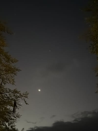 The image depicts a night sky with a crescent moon. Two stars or planets are also visible. The sky is partially obscured by clouds. Tree branches frame the scene at the top and bottom. The location is not discernable from the image, but the prompt specifies it to be Pemba, Mozambique. No people, subjects, or actions are visible.
