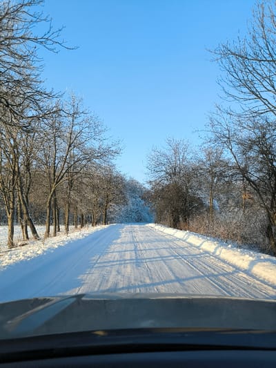 A snowy road stretches ahead, bordered by bare trees coated in frost and snow. A clear blue sky tops the scene. The road itself is covered in compacted snow with visible tire tracks. The viewpoint is from inside a vehicle, with part of the dashboard visible at the bottom of the frame. The sun shines brightly, casting long shadows across the road. The landscape evokes a sense of cold and quiet.