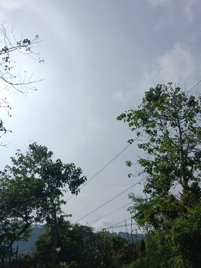 The image presents a serene outdoor scene, primarily featuring a bright, hazy sky and various trees in what appears to be a rural or semi-rural setting in Meilangtlang, Myanmar. The upper two-thirds of the frame are dominated by a pale blue-gray sky, scattered with subtle, diffused cloud formations. A bright area on the left side suggests the presence of the sun, possibly obscured by haze or just out of frame.

On the left, the delicate, leafless branches of a tree with a few emerging green leaves are silhouetted against the bright sky, indicating a seasonal transition. To the right, a vibrant green tree with full foliage stands tall, its leaves catching the light. Another smaller tree with green leaves is visible in the lower-left quadrant. Several thin, dark power lines stretch horizontally across the mid-ground, interconnecting the scene and adding a subtle hint of human infrastructure within the natural landscape.

Below the tree line, in the lower-middle and lower-left sections, faint outlines of distant hills or mountains can be seen. The foreground is filled with dense, green foliage, including bushes and other plants, creating a layered natural environment. The time of day appears to be daytime, likely late morning or early afternoon, characterized by the bright, diffused light and the absence of harsh shadows. There are no people or visible text in the image.