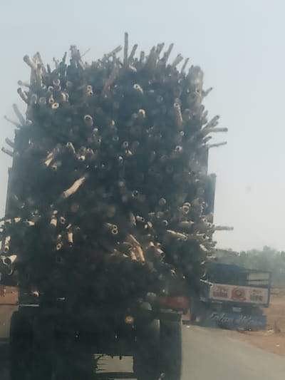 The scene in Makera, Nigeria, depicts the rear view of a heavily overloaded dark-colored flatbed truck moving on a paved road under a hazy, bright sky. The truck's bed is entirely obscured by a massive, tall, and wide load of cut wooden or bamboo poles/stalks, stacked densely. The individual poles vary in diameter and length, presenting numerous circular, light-colored cut ends. A single red taillight and an amber indicator light are visible on the lower left rear of the primary truck. To the right of the main truck, further down the road, a second, partially visible truck, possibly blue, features faded markings on its rear bed. The roadside environment includes a reddish-brown dirt shoulder, with distant green vegetation and trees visible on the horizon. No people or specific interactions are discernibly depicted.