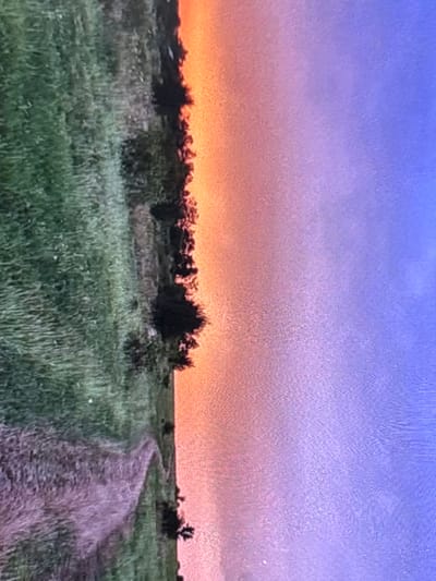 The image depicts a peaceful, open landscape scene, likely captured during either sunrise or sunset due to the striking sky colors. The upper portion of the frame is dominated by a clear sky, displaying a vivid gradient. It transitions from a deep blue at the very top, blending into a soft lavender and purple in the mid-sky, and then shifting to a warm orange-red near the horizon. A subtle, textured grid-like pattern is visible across the sky, suggesting the image might be a photograph of a screen or display.

The lower half of the scene features a sprawling grassy field, characterized by various shades of green and natural growth. A narrow dirt or gravel path winds gently from the right foreground, curving slightly as it extends into the midground, inviting exploration. Along the horizon, a line of silhouetted bushes and small trees creates a dark, undulating border between the field and the vibrant sky. These distant trees appear somewhat blurred. There are no people visible, and no specific activities are taking place, contributing to a sense of untouched natural tranquility. The overall mood is serene and contemplative, highlighting the natural beauty of the landscape during the golden hour. No visible text is present in the image.
