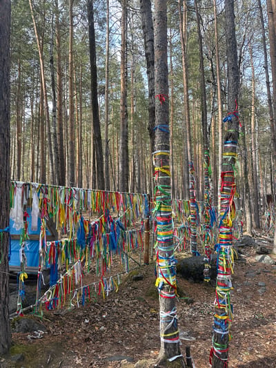 This image, captured in Arshan, Russia, portrays a dense forest scene where numerous pine trees and a rustic wooden structure are adorned with a multitude of colorful ribbons. The original image is oriented horizontally, causing the vertical tree trunks to appear to lie across the frame.

No people are visible. The primary subjects are the tall, straight pine trees with their textured bark, extending into the distance, and the countless ribbons tied around them. These ribbons are a vibrant mix of colors, including red, blue, yellow, green, white, orange, and pink, creating striking bands of color against the natural backdrop of the forest.

In the foreground, a wooden frame or shrine-like structure is also heavily decorated with these same colorful ribbons. Parts of this structure appear to be covered with a blue tarp-like material, further embellished with ribbons. The ground is covered with a layer of dried leaves, dirt, and some rocks and moss, characteristic of a forest floor.

The scene is illuminated by bright daylight, suggesting a clear sky, likely in the late morning or early afternoon. The practice of tying ribbons to trees and structures is a widespread cultural or spiritual tradition, often associated with prayers, wishes, or remembrance. The sheer volume and variety of ribbons indicate a site of significant cultural activity and reverence. There is no discernible text visible on any of the ribbons or structures.