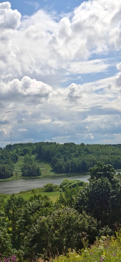 This is a vertical, eye-level, full shot of a scenic natural landscape. The sky dominates the upper half of the image, filled with a dramatic arrangement of white cumulus clouds against a bright blue sky. The lower half depicts a lush, green environment. In the mid-ground, a wide, calm body of water, likely a lake or river, stretches horizontally across the frame. On the far side of the water, a dense, undulating forest of green trees covers a sloping hill. A tall, slender communication tower can be seen on the left side of the forested hill. In the foreground, a grassy area with scattered wildflowers and taller grasses leads the eye into the scene. This landscape is characteristic of the views around Lake Viljandi in Viljandi, Estonia, known for its rolling hills and extensive forests. There are no people or animals visible in the image.