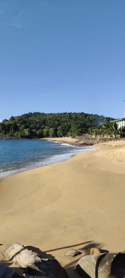 The image depicts a scenic beach in Calang, Indonesia. The foreground is dominated by a wide expanse of golden sand, with several large, weathered rocks scattered at the bottom. Gentle waves of blue water lap against the shore, creating a white foam line that stretches across the beach. Behind the beach, a lush, green forest covers a gently sloping hill, creating a verdant backdrop. Along the edge of the beach, near the treeline, a few palm trees are visible, as well as some structures including what appears to be a building with a green roof and a tall communication tower. The sky above is a clear, vibrant blue with a few wispy clouds. The overall scene is tranquil and natural, suggesting a peaceful day at the coast.