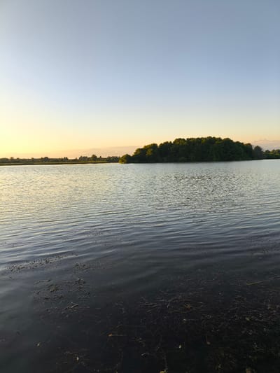 The image depicts a serene body of water, likely a lake or river, with a small, densely wooded island in the distance. The sky above is a clear gradient of pale blue at the top, transitioning to a soft yellow and orange hue near the horizon, indicative of either sunrise or sunset. The water's surface is gently rippled, reflecting the muted colors of the sky. In the foreground, the water appears darker and contains visible aquatic vegetation or debris. The opposite shore is lined with trees and other vegetation, creating a natural and tranquil landscape. The scene appears to be devoid of human presence. There is no information or visual evidence to support the claim that this image is located in Baghlan, Abkhazia.