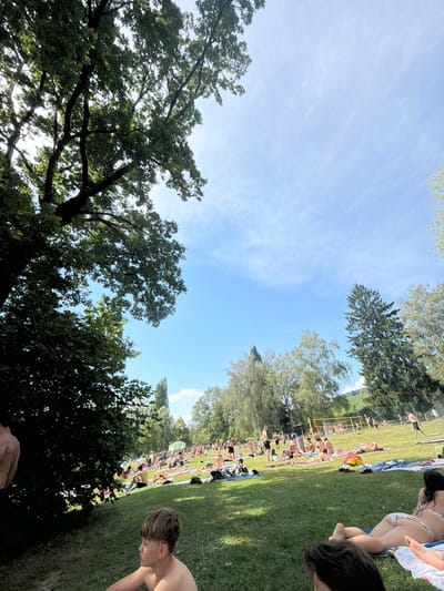A large group of people are sunbathing and relaxing on a grassy area next to a body of water, possibly a lake or river, in Diessenhofen, Switzerland. The scene is set on a sunny day with a bright blue sky and scattered white clouds. Tall trees with lush green foliage frame the left side of the image, casting shadows on the grass. In the background, more trees and a faint view of rolling hills can be seen. A volleyball net is set up on the grass, with some people engaged in a game. Numerous individuals are spread out on towels and blankets, some appearing to be reading or chatting, while others are lying down, likely sunbathing. The overall atmosphere suggests a leisure activity in an outdoor recreational area.