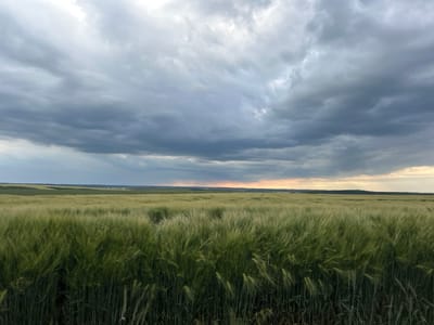 The image shows an agricultural landscape, likely located near Aidemir, Bulgaria. The scene is oriented with the sky in the lower portion and the field in the upper portion. The sky is filled with gray and white clouds, suggesting an overcast or stormy weather. Above the sky, there is a narrow horizon line with a hint of pink or orange, indicating either sunrise or sunset. Above the horizon is a field of green crops, possibly wheat or barley, reaching to the top of the frame. The field appears lush and dense.
