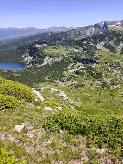 The image is a landscape view of a mountainous region in Panichishte, Bulgaria. In the foreground, there is lush green vegetation with some rocky patches and sparse grass. A winding dirt path is visible on the lower slopes. In the mid-ground, a dark blue lake is partially visible on the left, with a smaller, greenish lake further inland. The terrain is characterized by rolling hills covered in dense, low-lying green shrubs and scattered rocks. The background features rugged mountain ranges with rocky slopes and some patches of snow, extending into a clear blue sky. The overall scene depicts a natural, serene mountain environment on a sunny day.