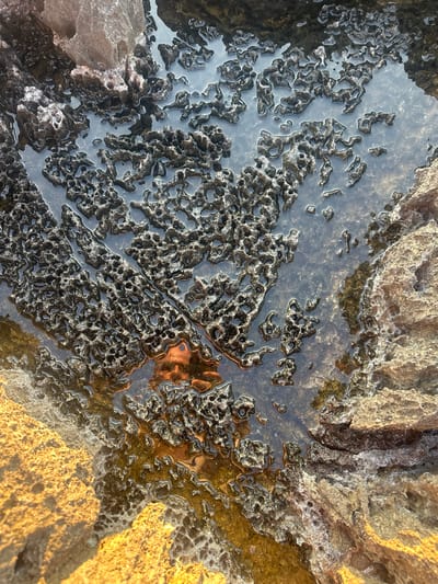 This image shows a close-up view of a tide pool on a rocky shore. The water in the pool is clear, reflecting the surrounding rocks and the sky. The rocks are of various colors, including brown, gray, and yellow, and have a rough, porous texture. In the reflection of the water, a person's face can be seen, holding a phone. The image was taken at the beach in Lastva Grbaljska, Montenegro.