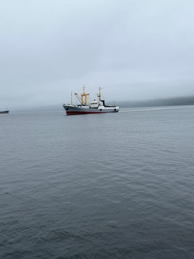 A medium shot captures a fleet of ships navigating through the misty waters of Sovetskaya Gavan', Russia. The primary focus is a gray and red ship with yellow accents and masts, positioned in the mid-right of the frame. To the left, another ship is partially visible, appearing smaller and further away. The backdrop is a hazy sky meeting the muted, undulating sea, with the faint outline of land or mountains visible in the far distance, obscured by fog. The overall atmosphere is somber and quiet, suggesting a tranquil, overcast day at sea.