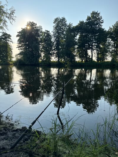 The image depicts a serene, natural scene by a body of water, likely a river or lake, in Борискино, Russia. The perspective is from the water's edge, looking out towards a line of trees reflected in the still water. The sun is low in the sky, casting a soft glow and creating bright highlights on the water's surface, suggesting it is either early morning or late afternoon. The sky is a clear, pale blue.

The primary subjects are the trees lining the far bank, their dense foliage a dark silhouette against the sky and their reflections creating a mirrored image on the water. Two fishing rods are prominently featured in the foreground, angled towards the water, indicating that fishing is the activity taking place. One rod is closer to the viewer and appears to be resting on the bank or a support. The bank itself is covered in lush green grass and other aquatic vegetation, adding to the natural setting.

Notable details include the calm water, which allows for a clear reflection of the trees and sky. The sunlight filtering through the leaves of some trees and reflecting off the water adds a peaceful and tranquil mood to the scene. The overall impression is one of quiet solitude and connection with nature. There is no visible text in the image.