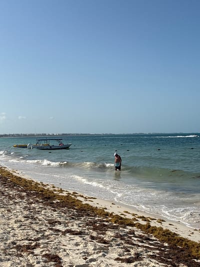 The image depicts a beach scene in Punta Sam, Mexico, under a clear blue sky. In the foreground, a sandy beach is covered with seaweed, with gentle waves lapping at the shore. In the middle ground, a man wearing swim trunks and a white hat stands in the shallow ocean water. Further out, a white boat with a canopy is anchored in the turquoise water. A yellow inflatable tube is attached to the side of the boat. In the background, a distant cityscape with buildings is visible along the coastline. The overall environment is characteristic of a tropical beach destination.