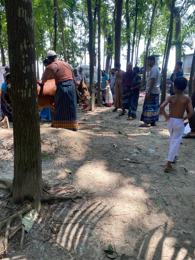 The image captures a scene outdoors, likely in a rural setting near Hizla, Bangladesh. A group of men and boys stand near a brown cow, some wearing traditional lungis and skullcaps. One man appears to be touching the cow. The setting includes trees and foliage, with the ground covered in dirt and leaves. Sunlight filters through the trees, creating shadows on the ground. The image suggests a gathering or ceremony involving the cow.