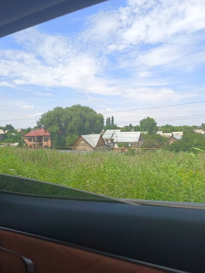 The image captures a view of a rural or suburban area, likely in or around Rassvet, Kazakhstan, seen from inside a vehicle. The foreground is dominated by the interior of the car, with a dark gray car door and a brown upholstered armrest visible. The middle ground features a vibrant green field of tall grass and vegetation, creating a lush, slightly blurred effect, suggesting movement. Beyond the field, a row of houses with various roof styles, some with corrugated metal and others with shingles, are visible amidst trees and greenery. One house stands out with a prominent red roof and brick facade. Power lines stretch horizontally across the scene above the houses. The sky above is a bright blue with scattered white, fluffy clouds, indicating a pleasant, possibly sunny day. The overall impression is of a peaceful, semi-rural landscape.