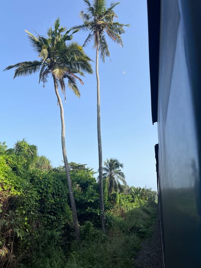 This is a photograph taken from a moving train in Katukurunda, Sri Lanka. The view outside the train shows lush green vegetation including palm trees and dense foliage. The sky is clear blue. The right side of the image is dominated by the dark, reflective side of the train car. The train appears to be traveling along a track that runs parallel to the verdant landscape.