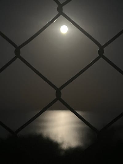 The image captures a moonlit scene observed through a chain-link fence. The moon, a bright disc surrounded by a soft glow, is positioned in the upper center of the frame, partially obscured by fog or mist. Below the moon, a shimmering reflection of its light stretches across a body of water, likely the Durankulak Lake in Durankulak, Bulgaria. The fence's dark, diagonal lines create a grid pattern that divides the view, adding a sense of depth and framing the celestial and aquatic elements. The lower portion of the image is dominated by dark, silhouetted foliage or landmass, providing a stark contrast to the illuminated sky and water. There are no people or animals visible in the frame. The overall atmosphere is serene and slightly mysterious, characteristic of a night landscape.