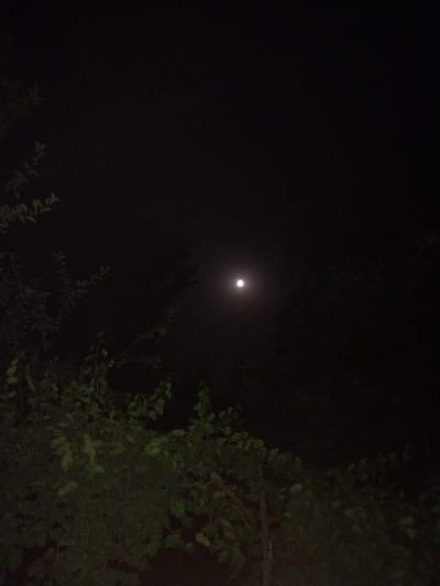 A full moon is visible in the night sky, surrounded by darkness. The moon appears as a bright, circular light source with a soft glow. In the foreground, the silhouettes of trees and foliage are visible, with some leaves illuminated by the moonlight. The scene is dark and appears to be set in a natural environment, possibly a rural area given the mention of a community of villages in Rohati, Tajikistan. There are no people or specific objects clearly identifiable in the image, beyond the natural elements. The overall impression is one of a peaceful, moonlit night.