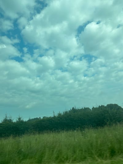 The image captures a landscape scene with a bright, cloudy sky dominating the upper half. The sky is a mix of blue patches and large, fluffy white clouds. Below the sky, a dense line of dark green trees forms a treeline. The trees appear to be a mix of coniferous and deciduous varieties, with some appearing taller and more pointed than others. In front of the treeline, a field of tall, green grass stretches across the lower portion of the image. The grass is blurred, suggesting movement, possibly from a vehicle. Several thin, vertical poles, likely utility poles, are visible poking above the treeline, with wires strung between them. The overall impression is of a rural or natural environment, possibly on the outskirts of Pihva, Estonia, during daylight hours. There are no people or animals visible in the image.