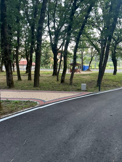 The image depicts an outdoor scene in the city of Dzhebel, Bulgaria, featuring a paved pathway and a park-like area. In the foreground, a dark asphalt pathway with a white stripe runs diagonally from the bottom right towards the center. Adjacent to the pathway is a section of decorative paving made of light-colored interlocking stones with a red brick border, creating a curved edge. Beyond this paving, a grassy area is visible, dotted with numerous mature trees.
Further into the scene, a wooden gazebo with a pitched roof is situated within the grassy area. To the right of the gazebo, a large blue structure is visible. A street lamp stands near the gazebo. In the background, a building with a red-tiled roof and beige walls is partially obscured by trees. The environment appears to be a public space, possibly a park or a recreational area adjacent to a road. The lighting suggests it may be late afternoon or early morning. No people are present in the image.