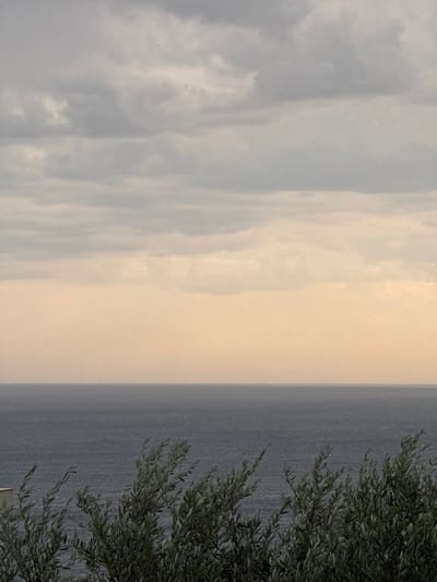 This is a vertical, outdoor photograph showing a seascape with a cloudy sky and an olive tree. The left side of the image features a cloudy sky with shades of gray and white, suggesting overcast or stormy weather. The middle section displays a pale, hazy sky that transitions into the darker water of the sea. The right side of the image is dominated by the deep blue-gray water, which appears calm with subtle ripples. In the foreground on the right, the branches and leaves of an olive tree are visible, rendered in dark green and brown tones. The tree's foliage is dense and extends into the frame, partially obscuring the sea.
The time of day appears to be late afternoon or early evening, given the soft, diffused light and the muted colors. The overall mood of the image is somewhat somber and tranquil, evoked by the cloudy sky and the vast expanse of the sea. There are no visible people or man-made objects, other than possibly a hint of a structure at the bottom right corner obscured by the tree. The presence of the olive tree suggests a Mediterranean coastal location.
Based on the location context provided, this photograph was likely taken in Trap, Montenegro. The scene depicts a natural landscape, focusing on the interplay of sky, sea, and vegetation. No text is visible in the image.