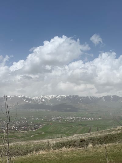 The image captures a landscape in Hartagyugh, Armenia. A mountain range with some visible snow patches rises in the midground. A rural scene unfolds from the base of the mountains down towards a small village with clustered buildings and red rooftops. Fields and grasslands divide the village from the mountains. A patch of dry vegetation is visible in the foreground, with some bare branches extending into the frame. A partly cloudy sky dominates the background to the left.