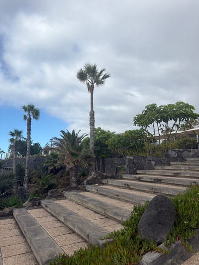 This image depicts an outdoor scene with several palm trees and lush green vegetation. A stone stairway, likely part of a pathway or garden, is visible on the right side of the frame, leading upwards. Large, dark volcanic rocks are interspersed with the greenery and the stonework. The sky is overcast with scattered clouds, suggesting a temperate or potentially humid climate. The orientation of the image suggests it was taken in a location with a view downwards or upwards along the stairway. The presence of palm trees and the mention of Puerto de la Cruz, Spain, indicate a tropical or subtropical setting, likely a resort or a well-maintained public space. No people or specific activities are clearly visible, but the scene conveys a sense of natural beauty and possibly a tranquil atmosphere. The time of day is difficult to determine due to the overcast sky, but it appears to be daytime.