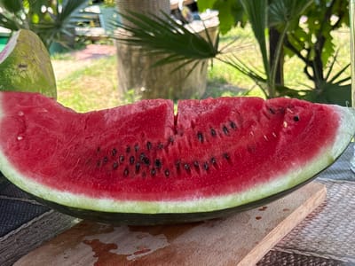A sliced watermelon rests on a wooden board, its vibrant red flesh and dark seeds contrasting with its green rind. The watermelon is positioned on a woven placemat, hinting at an outdoor setting. In the background, lush green foliage suggests a garden or park, with a hint of a concrete structure and possibly outdoor furniture, indicating a leisurely environment. The scene appears to be a snapshot of a summer day, likely taken in Serhiivka, Ukraine, given the context provided, evoking a sense of refreshing simplicity.
