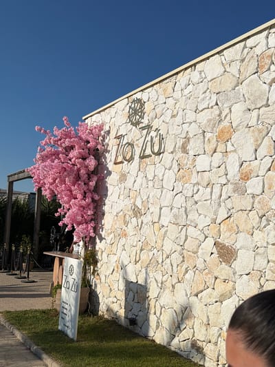 The image depicts the exterior of a building with a stone-clad wall. A vibrant pink artificial cherry blossom tree is mounted on the wall, near a metal sign displaying the text "Zo Zu" and a circular emblem. To the left of the wall, a wooden structure with a roof is visible, along with some greenery and black velvet ropes. A white sign with "Zo Zu" and additional text in a smaller font is placed on the grass in front of the building. The sky is clear and blue. The location is identified as the city of Nesebar, Bulgaria. In the foreground, the top of a person's head, with dark hair, is visible on the right side of the frame.