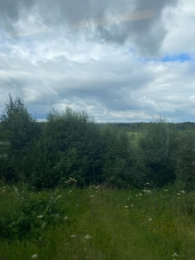 The image depicts a natural landscape with a cloudy sky and a dense arrangement of green trees and vegetation. The foreground consists of tall green grass with scattered white wildflowers. Behind the grass, a thick wall of trees, predominantly green with varying shades of foliage, stretches across the middle ground. In the distance, a horizon of more trees is visible, appearing darker and more uniform. The sky is overcast with heavy, gray clouds, interspersed with patches of lighter sky and a hint of blue. The overall impression is of a rural or natural setting, possibly a field or forest edge, under a partly cloudy sky. The image does not contain any people or specific man-made structures that would allow for a precise location within the city of Почтовик Снт, Russia.