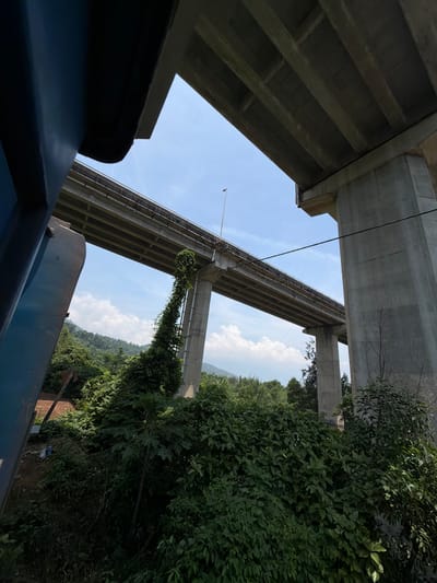 The image shows a view looking upwards at two concrete overpasses, likely highway bridges. The sky is visible between the structures. Lush green vegetation fills the right side of the frame, with some vines growing on one of the bridge supports. The lower part of the picture includes the top of a blue structure. Based on the location information (Hue, Vietnam), the concrete overpasses are the bridges on the QL1A Highway north of Huế.