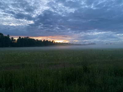 The image depicts an inverted landscape, with the sky appearing below the ground. The upper portion of the image, which would typically be the sky, shows a dense area of green grass, likely a field or meadow, with some subtle variations in shade and texture. The lower portion of the image, which represents the ground, is dominated by a cloudy sky. These clouds are a mix of deep blues and grays, with streaks of bright white where sunlight is breaking through.
The horizon line is visible as a dark band of trees silhouetted against a glowing sky, suggesting either sunrise or sunset. The light from the sun is a warm orange and yellow, casting a glow through the mist that hovers above the treeline. This mist partially obscures the transition between the treeline and the clouds, adding a soft, ethereal quality to the scene. The overall mood is tranquil and serene, characteristic of a quiet morning or evening in a natural setting. The image appears to be taken outdoors in a rural location, possibly in Yablonnoe, Russia, as suggested by the location context. There is no visible text in the image.
