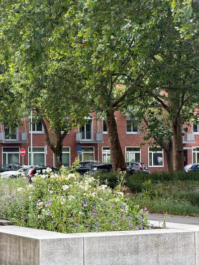The image depicts a street scene in Cleves, Germany, with a modern brick building, trees, and parked cars. The building has multiple stories with balconies and numerous windows. Several mature trees with dense green foliage dominate the foreground and midground, casting shadows on the street and building. Parked cars, including a white SUV, a black hatchback, and a dark-colored sedan, are visible along the curb. A flowerbed in the foreground contains a variety of plants, including white roses and small purple flowers. A concrete planter box is situated in the lower portion of the frame. A red and white circular traffic sign is mounted on a pole to the left of the building. A blue parking sign is also visible to the right. The sky is overcast.
