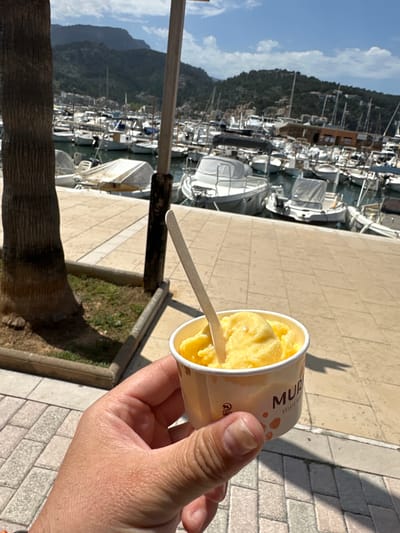 The image, taken in portrait orientation but rotated 90 degrees counter-clockwise, depicts a person holding a cup of ice cream at a marina in El Port, Spain. In the foreground, a human right hand holds a light-colored paper cup filled with bright yellow ice cream or gelato, with a wooden spoon inserted. Visible text on the cup includes "MUD" (part of a larger word, possibly a brand name), "GELATO N" (likely "Gelato Naturale"), and a partial "PEFC" recycling logo.
The background reveals a bustling marina filled with numerous sailboats and yachts, their white hulls and masts visible in the clear sunlight. Beyond the marina, a range of green, tree-covered mountains rise under a bright blue sky with a few scattered white clouds. The ground is paved with light-colored square and rectangular tiles, typical of a promenade or boardwalk. A thick tree trunk is partially visible on the left, casting a long shadow, indicating a sunny day. The hand holding the ice cream also casts a distinct shadow on the pavement.
The scene captures a leisurely moment, with someone enjoying a cool treat by the waterfront. The bright sunshine and the shadows suggest it is a warm day, likely mid-morning or afternoon. The overall impression is one of a relaxing holiday or outing in a picturesque coastal location.