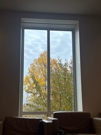 The image presents an interior view through a large, vertically oriented window in Waltham, United States. The window features a white frame and is divided by a central vertical mullion. A white roller blind mechanism is visible along the top interior edge of the window frame. Outside, two deciduous trees dominate the view; the tree on the left exhibits bright yellow autumn foliage, while the tree on the right displays green and light brown leaves. The sky is uniformly overcast with light grey clouds. Inside, the lower portion of two brown upholstered armchairs is visible in the foreground. A dark-colored bottle rests on the left armchair's armrest, and a dark textile object lies on the seat of the right armchair. The interior walls are a plain light taupe. No individuals or active interactions are present in the scene.