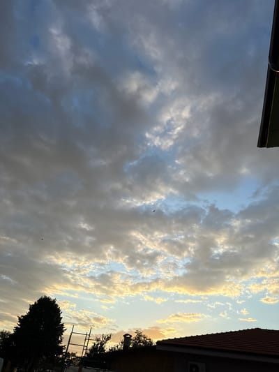 The image captures a sunset sky with dramatic cloud formations over the rooftops of Rogosh, Bulgaria. The clouds are a mix of dark grays and lighter whites and yellows, illuminated by the setting sun. Two birds are visible in silhouette against the sky, one higher and one lower in the frame. In the foreground, the dark silhouettes of trees, a ladder, and a house with a tiled roof are visible. The overall impression is one of a peaceful, natural scene at dusk in a residential area.
