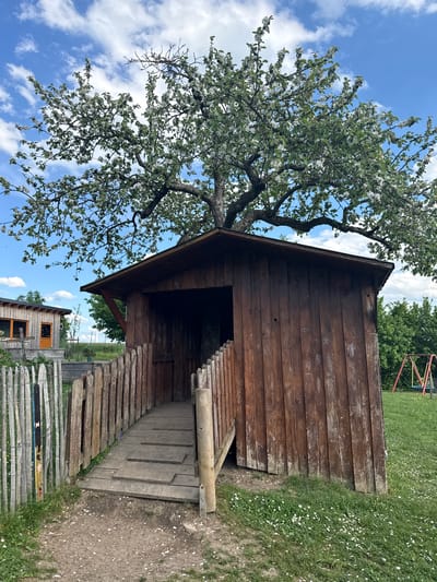 A slightly rotated, eye-level, outdoor shot shows a wooden playhouse and a tree in Manternach, Luxembourg. The playhouse is made of dark brown wood, with a sloped roof, an opening for a door, and a wooden ramp leading up to it. A tree with white flowers is on the left, its branches partially covering the playhouse and extending into the blue sky with scattered clouds.

In the background, there is a grassy area with some scattered flowers and a portion of a metal playground structure. Further back, a small building with a wooden fence is visible. The ground near the playhouse is bare and shows signs of wear and tear.