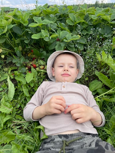 A young child, wearing a light-colored bucket hat and a ribbed long-sleeved shirt, lies on their back in a field of green plants, possibly a strawberry patch. The child is looking up at the camera with a slight smile, their cheeks showing some smudges of red, suggesting they may have been eating strawberries. The child's hands are resting on their chest, and they are wearing camouflage-patterned shorts.
The scene is set outdoors in a natural environment, with abundant green foliage and some visible red strawberries among the plants. Small blue flowers are also scattered throughout the greenery. The sky is visible in the background, with some clouds, indicating it might be daytime. The overall impression is one of a carefree moment in nature, perhaps during a visit to a farm or a garden. The child appears content and relaxed. No visible text is present in the image. The location context is Berkuty, Russia.