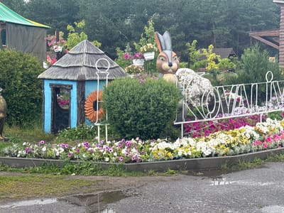 The image depicts a garden scene with various decorative elements. A small, blue, whimsical hut with a thatched roof stands to the left, adorned with a large orange flower motif. Adjacent to the hut is a large, cartoonish rabbit statue with grey ears and a brown body, holding a white, textured object. In front of these elements, a meticulously arranged flowerbed runs along a grey concrete border, featuring a dense display of white, pink, purple, and yellow petunias.
Behind the flowerbed, a white wrought-iron fence with decorative swirls separates the garden from more dense vegetation. The background is filled with lush green trees, forming a dense forest. To the far left, a structure with a green and yellow striped roof and grey tarpaulin walls is partially visible. The ground in the foreground is asphalt, with puddles reflecting the surrounding scene, suggesting recent rainfall.
This scene is located in the city of Zaliznychne, Ukraine, likely a public garden or park area designed for aesthetic appeal and possibly as a tourist attraction. There are no people visible in the image.
