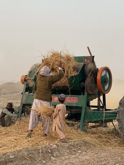 In Alaqadari Daman, Afghanistan, a group of people is engaged in agricultural work. A man wearing a jacket and loose pants is feeding sheaves of straw into a green threshing machine with orange wheels. A young boy in a light brown outfit stands beside him, also holding a bundle of straw. Another man sits on the ground to the left of the machine. The ground is covered in straw. The sky is hazy.