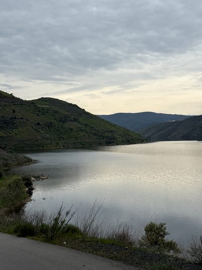 The image displays a panoramic landscape featuring a large body of water, likely a river or reservoir, within the vicinity of Mogadouro, Portugal. The perspective is from an elevated position, overlooking the water with landforms on both sides.
The sky is uniformly overcast with a layer of grey stratus clouds, showing a lighter, yellowish-white gradient towards the distant horizon. The water surface is dark grey, calm, and exhibits minor ripples, reflecting the muted tones of the sky.
On the left side of the frame, a steep hillside, densely covered with green vegetation including shrubs and what appear to be terraced sections, slopes down to meet the water. Exposed rock formations are visible at the water's edge along this bank. Multiple layers of vegetated hills and mountains recede into the distance towards the right and center background. Distant structures, possibly buildings, are discernable on a hillside in the far right background.
In the immediate foreground, a dark grey paved road or path is partially visible along the bottom-left edge. The ground bordering the road consists of dry, light-brown grasses, green shrubbery, and small rocks. A small, light-colored cylindrical object, consistent with a discarded can, is present on the ground amongst the vegetation near the road. No people or animals are visible, and no actions or interactions are depicted.