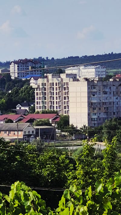 The image shows a panoramic view of a city or town, likely Ialoveni, Moldova, with a mix of residential buildings and lush greenery. In the foreground, dense green foliage, possibly grapevines, partially obscures the view, creating a natural frame. Beyond the foliage, several multi-story buildings are visible, some appearing to be apartment blocks with numerous windows and a repeating architectural style. One building is particularly prominent, a lighter-colored structure with a grid-like pattern of windows.

The scene suggests a daytime setting, with a bright, clear sky, though the orientation of the image is vertical, making it difficult to ascertain the precise time of day. The weather appears to be fair. The urban landscape is interspersed with trees and vegetation, indicating a potentially hilly or terraced terrain, with buildings constructed on different levels. Power lines are also visible, stretching across the frame and adding to the sense of an inhabited area.

No people are clearly discernible in the image, nor are any specific activities or events taking place. The focus is on the architectural and natural elements of the landscape. The buildings exhibit a somewhat dated architectural style, common in Eastern European urban areas. The overall impression is one of a residential district within a town or city, characterized by a blend of urban development and natural elements. No text is visible in the image.