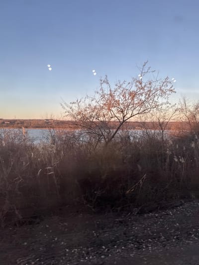 The image depicts a tranquil outdoor scene in Vatra, Moldova, during either dawn or dusk, evidenced by the sky's gradient from light blue overhead to a soft orange-pink hue near the horizon. A calm body of water, likely a lake or wide river, occupies the midground, with faint, distant land or structures visible on its opposite bank. In the foreground and extending into the midground, dense, dormant vegetation is present, consisting of numerous bare-branched deciduous trees and thick, dry underbrush with some lighter-colored seed heads. A prominent, larger deciduous tree with a visible trunk and sparse branches stands centrally, silhouetted against the water and distant shore. The immediate foreground is an unpaved surface, appearing as dark soil with scattered gravel. Several bright, circular lens flares are distributed across the upper portion of the sky. No people, animals, or artificial structures are distinctly visible in the immediate scene.